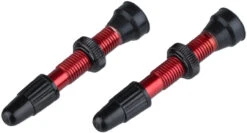 Wtb Valve Tubeless TCS Presta En Laiton -Magasin De Sport De Vélo 131984