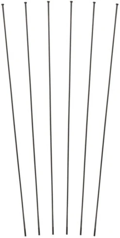 Dt-swiss Set De Rayons Pour RR 21 DICUT® / PR 1600 DICUT®