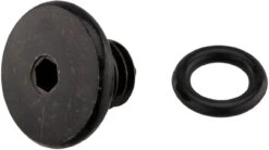 Shimano Vis De Purge Pour BL-M445 / BL-M396