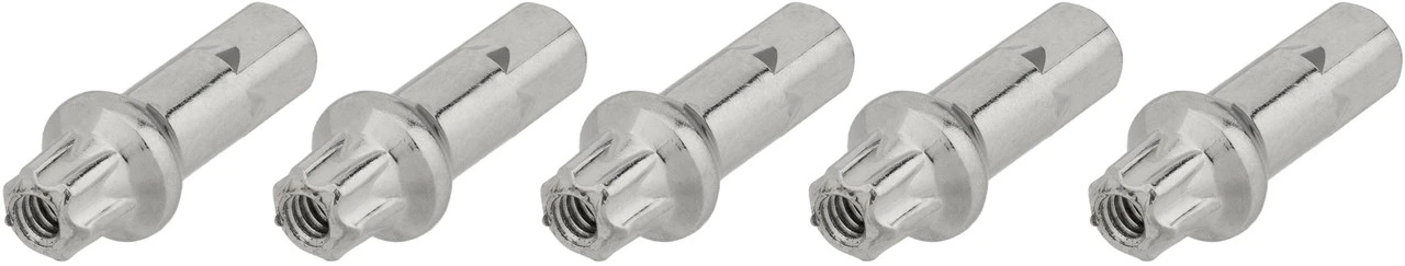 Dt-swiss Écrous En Laiton Pro Lock® Squorx Pro Head® 2,0 Mm - 5 Pièces 3 Dt-swiss Écrous En Laiton Pro Lock® Squorx Pro Head® 2,0 Mm - 5 Pièces