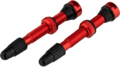 Tune Set De 2 Valves Tubeless -Magasin De Sport De Vélo 373359