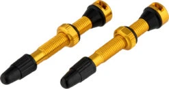 Tune Set De 2 Valves Tubeless -Magasin De Sport De Vélo 373365