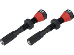 Set De 2 Valves Tubeless Fillmore