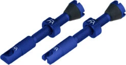Set De 2 Valves Tubeless Chris King Edition MK2 -Magasin De Sport De Vélo 421867