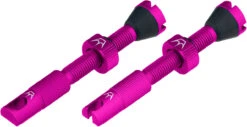 Set De 2 Valves Tubeless Chris King Edition MK2 -Magasin De Sport De Vélo 421876