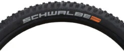 Schwalbe Pneu Souple Big Betty Evolution ADDIX Soft Super Gravity 29" -Magasin De Sport De Vélo 457531