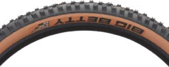 Schwalbe Pneu Souple Big Betty Evolution ADDIX Soft Super Gravity 29" -Magasin De Sport De Vélo 457538
